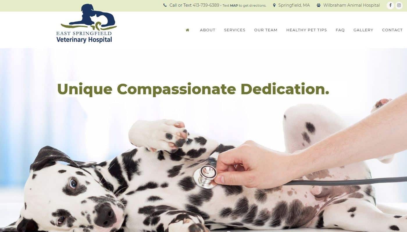 ESV Vet Hospital WordPress Website Design Western MA