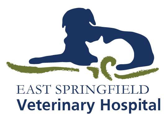 ESVH-Logo